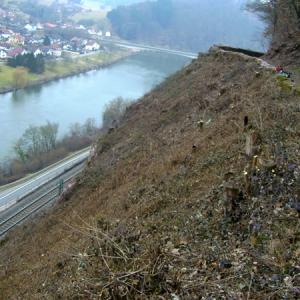 Die Vegetation musste entfernt werden, damit Geologen den Fels begutachten können
