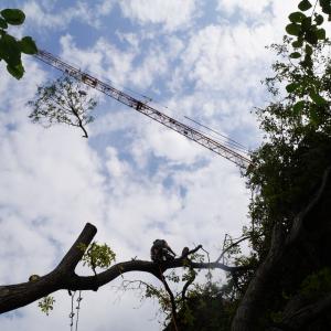 Sturmschäden