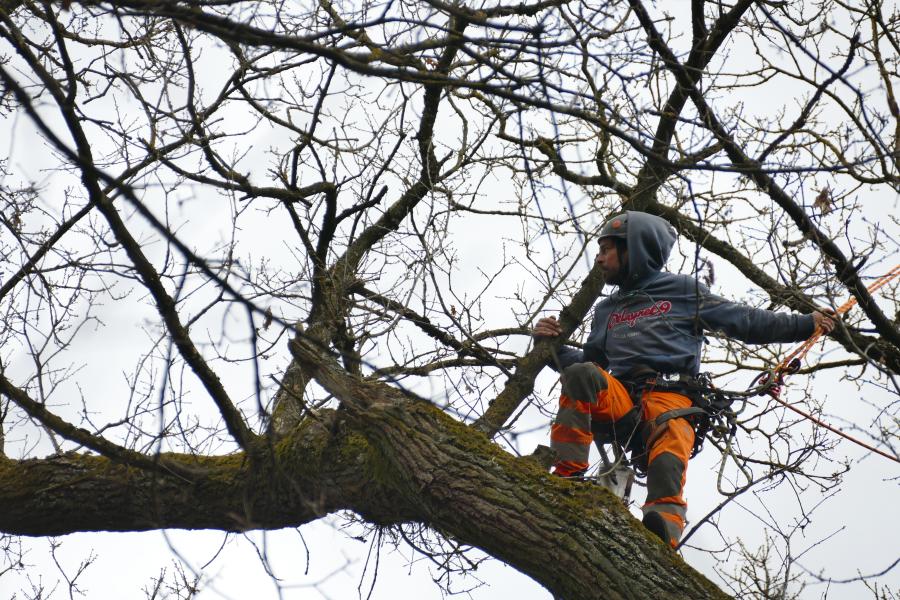Thomas im Waldkindergarten Ehningen