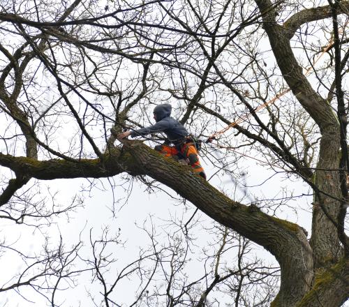 Thomas im Waldkindergarten Ehningen